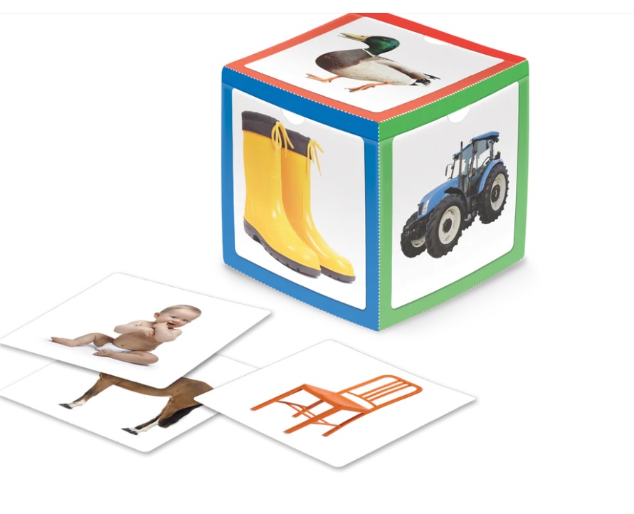 Health Canada Recalls Educational Toy For Lead Levels “Above The Regulatory Limits” Bayshore